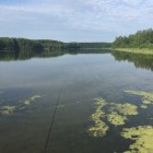 Фото рыбалки в Сом, Судак 2