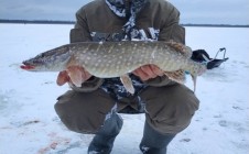 Фото рыбалки в Ольшево 3