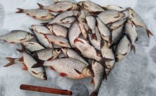 Фото рыбалки в Свингино 4