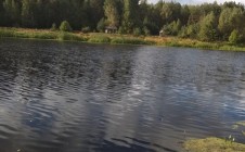 Фото рыбалки в Берёзовка, Славгородский район 3