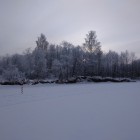 Фото рыбалки в Окунь, Судак 1