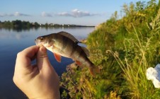 Фото рыбалки в городской округ Дубна 3