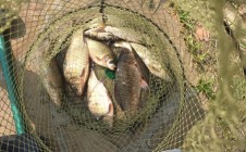 Фото рыбалки в городской округ Озёры 3