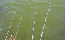 Фото рыбалки в Кривой Рог 2