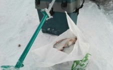 Фото рыбалки в Городковичи 0