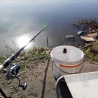 Фото рыбалки в Густера, Лещ, Плотва 0
