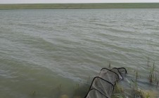 Фото рыбалки в Андроповский район 5