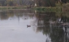 Фото рыбалки в городской округ Иваново 9