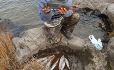 Фото рыбалки в Порог, Казачинский район 11