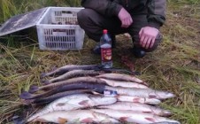 Фото рыбалки в Степаново, Череповецкий район 2