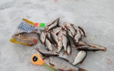 Фото рыбалки в Сморгонский район 0