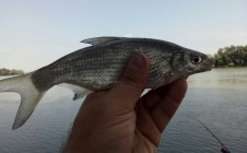 Фото рыбалки в Абинский район 2