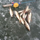 Фото рыбалки в Карп 0