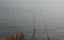 Фото рыбалки в Красный Яр, Большереченский район 9