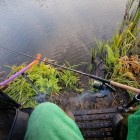 Фото рыбалки в Сом канальный 9