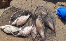 Фото рыбалки в Краснокамский район 4