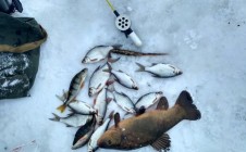 Фото рыбалки в Якты-Куль, Мелеузовский район 8