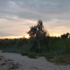 Фото рыбалки в Карась 3