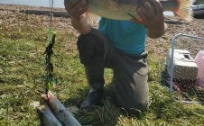 Фото рыбалки в Алнашский район 5
