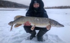 Фото рыбалки в Залив, городской округ Казань 1