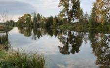 Фото рыбалки в Любино-Малороссы 5