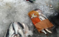 Фото рыбалки в Демидково, Добрянский городской округ 10