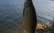 Фото рыбалки в Кодинск 11