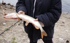 Фото рыбалки в Городищенский район 4