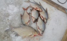 Фото рыбалки в Казеевка 9
