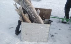 Фото рыбалки в Кокпектинский район 4