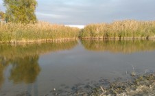 Фото рыбалки в Светлое, Икрянинский район 2