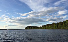 Фото рыбалки в Хвойнинский муниципальный округ 0