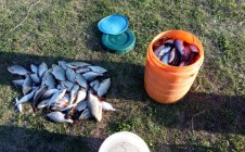 Фото рыбалки в городской округ Агидель 0