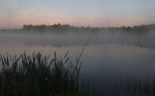 Фото рыбалки в Дубровка, Краснопольский район 0