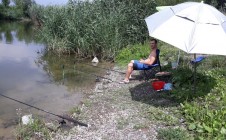 Фото рыбалки в Вольное, Апостоловский район 3