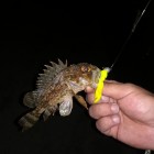 Фото рыбалки в Карась 4