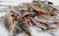 Фото рыбалки в Учалинский район 10