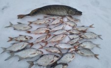 Фото рыбалки в Волчанский район 3