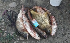 Фото рыбалки в Лабинский район 2