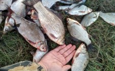 Фото рыбалки в Ленинский район 1