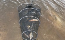 Фото рыбалки в Надымский район 4