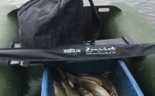 Фото рыбалки в Богатск 7