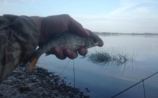 Фото рыбалки в Весна, Конаковский район 1