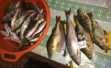 Фото рыбалки в Кабанский район 6