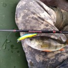 Фото рыбалки в Лещ, Плотва 3