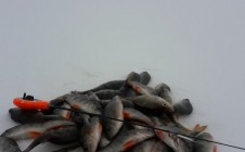 Фото рыбалки в Верхняя Елюзань 10
