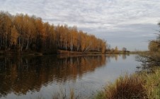 Фото рыбалки в Сельвачёво 3