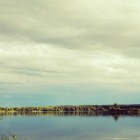 Фото рыбалки в Сом канальный 2