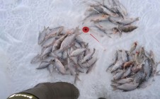 Фото рыбалки в городской округ Выкса 4