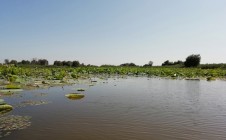 Фото рыбалки в Красный, Володарский район 8